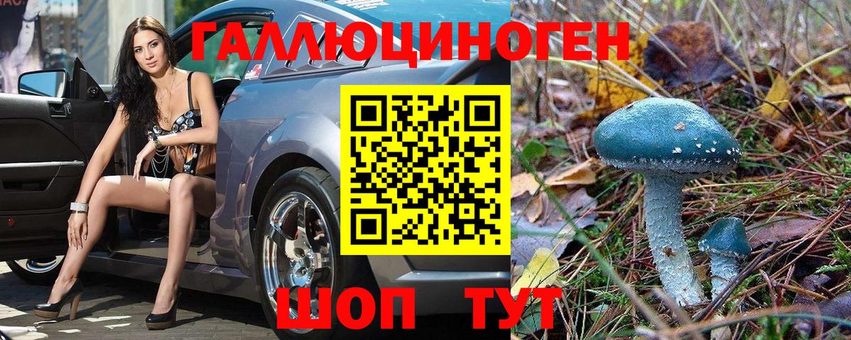 Прокопьевск  Галлюциногенные грибы ЛСД  Вход с VPN 